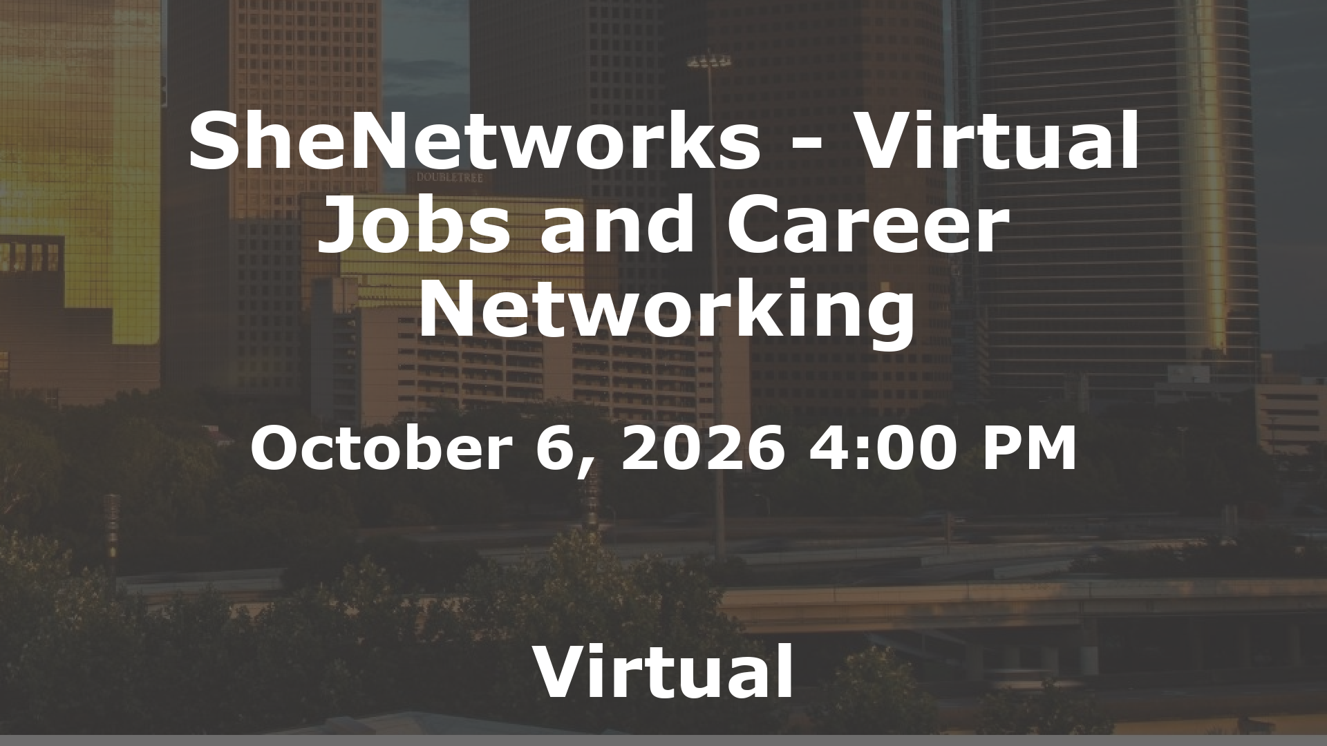 SheNetworks - Virtual Jobs and Career Networking event image